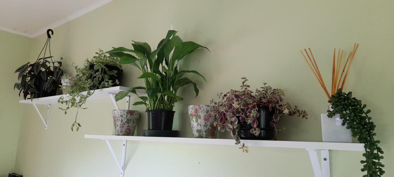 Earthsounds Country Cottage Taumarunui Εξωτερικό φωτογραφία