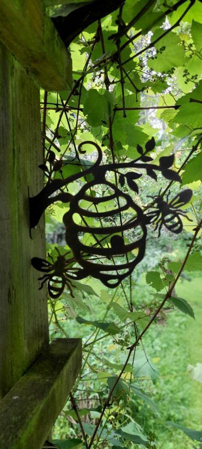Earthsounds Country Cottage Taumarunui Εξωτερικό φωτογραφία