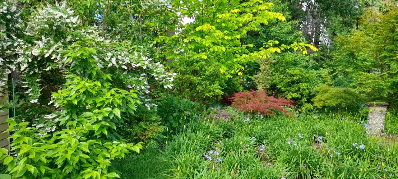 Earthsounds Country Cottage Taumarunui Εξωτερικό φωτογραφία