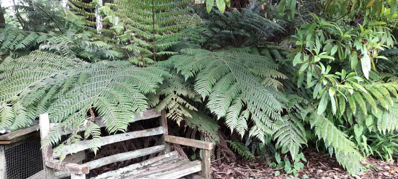Earthsounds Country Cottage Taumarunui Εξωτερικό φωτογραφία