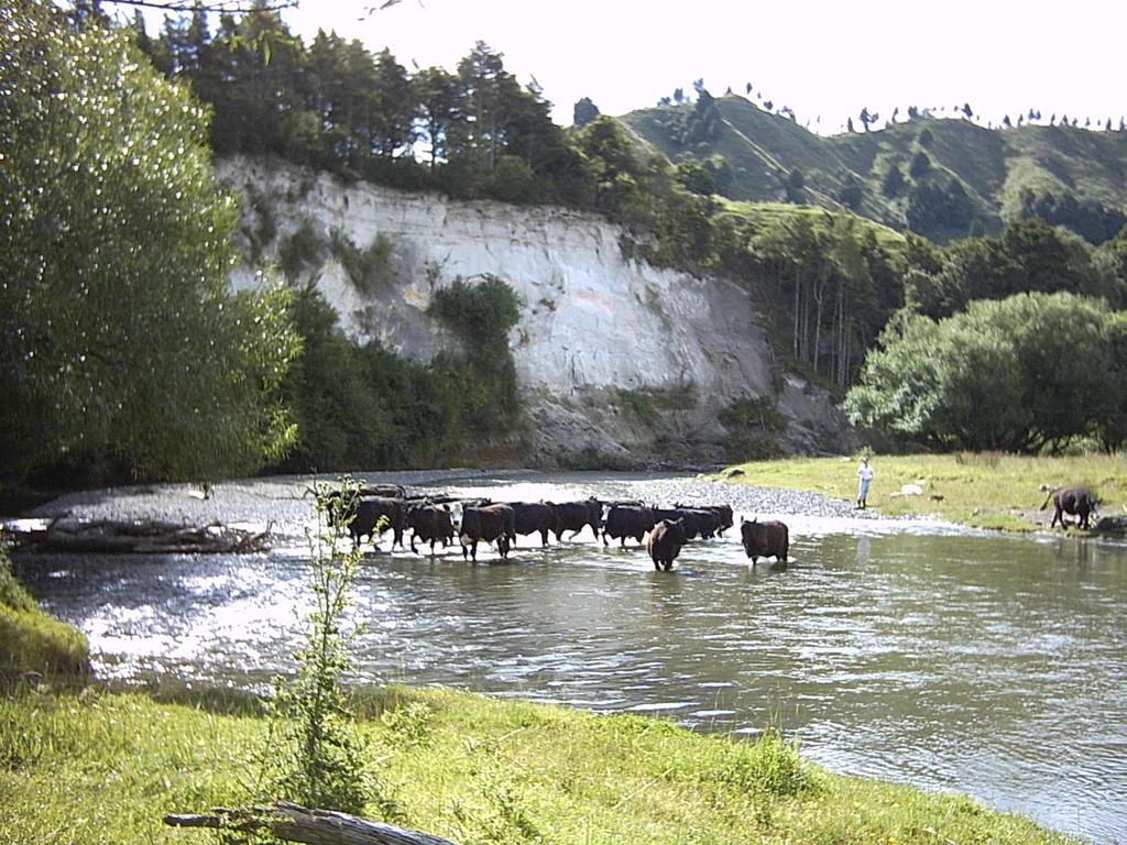 Earthsounds Country Cottage Taumarunui Εξωτερικό φωτογραφία