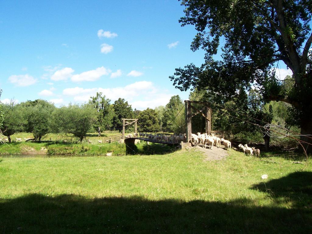 Earthsounds Country Cottage Taumarunui Δωμάτιο φωτογραφία