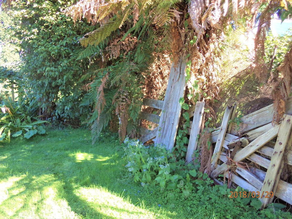 Earthsounds Country Cottage Taumarunui Εξωτερικό φωτογραφία